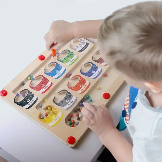 Montessori Magnetic Color Sorting Board