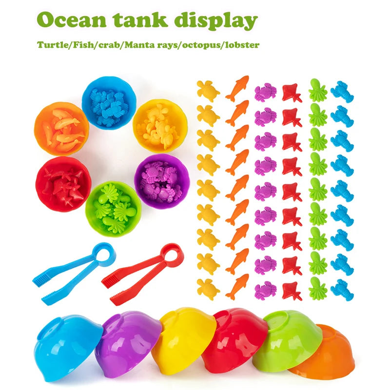 Animal Series Counting & Learning Toy