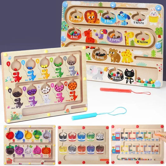 Montessori Magnetic Color Sorting Board