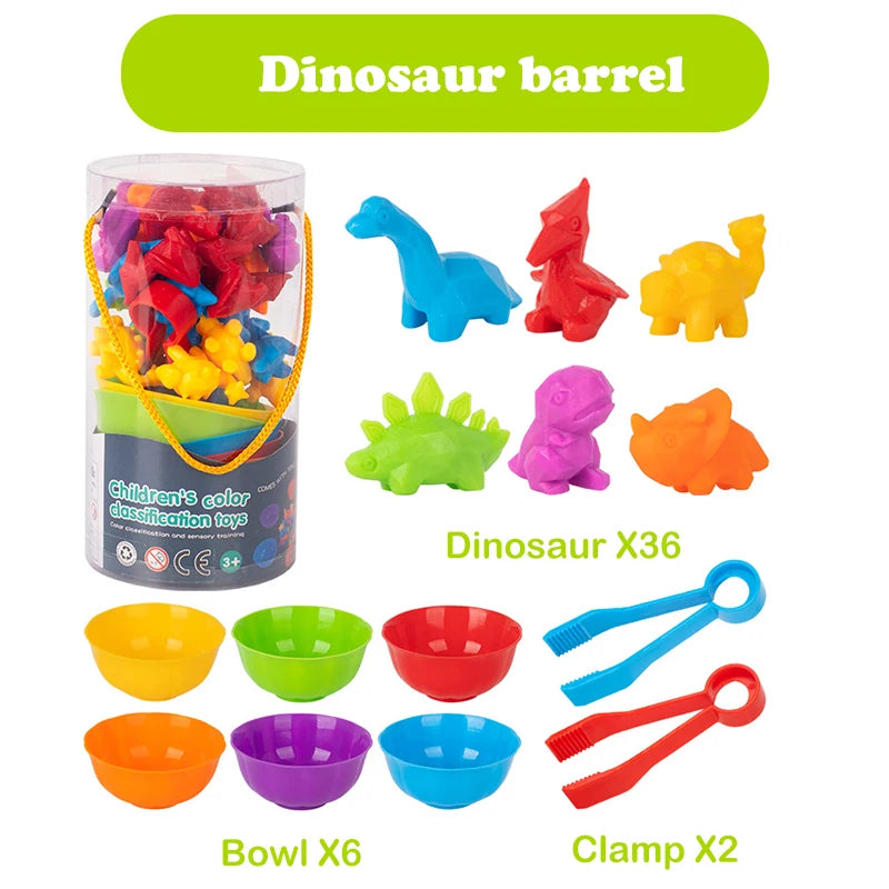 Animal Series Counting & Learning Toy