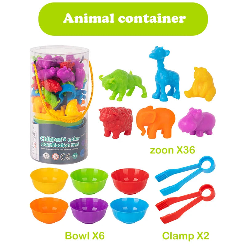 Animal Series Counting & Learning Toy